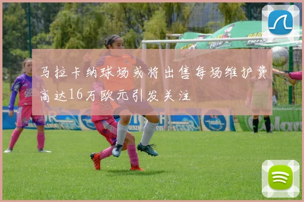 马拉卡纳球场或将出售每场维护费高达16万欧元引发关注