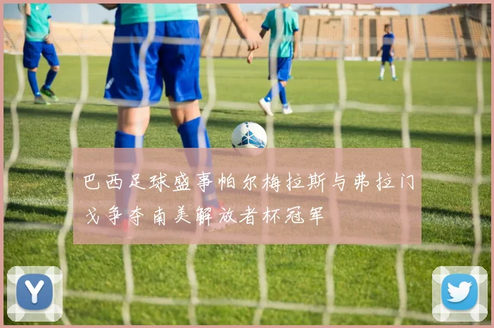 巴西足球盛事帕尔梅拉斯与弗拉门戈争夺南美解放者杯冠军